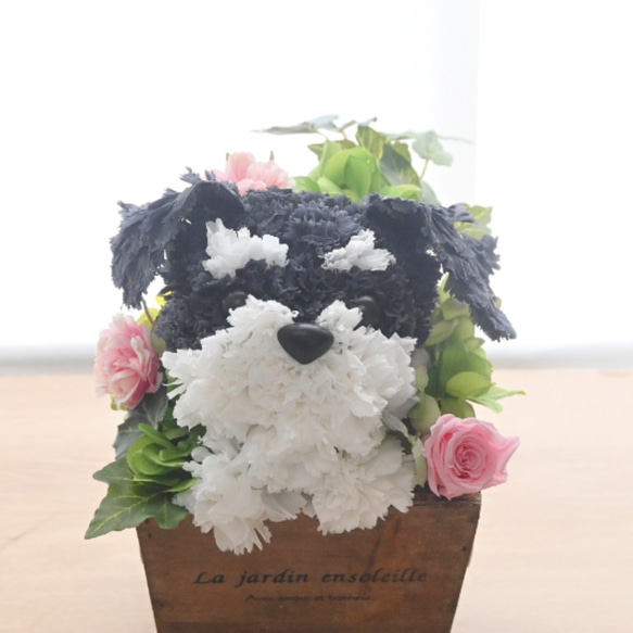 フラワーペット【シュナウザー】プリザーブドフラワー 花 犬 ペット 母の日 誕生日 カーネーション 2枚目の画像