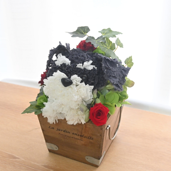 フラワーペット【シュナウザー】プリザーブドフラワー 花 犬 ペット 母の日 誕生日 カーネーション 7枚目の画像