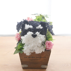 フラワーペット【シュナウザー】プリザーブドフラワー 花 犬 ペット 母の日 誕生日 カーネーション 8枚目の画像