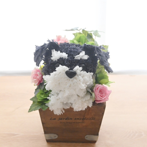 フラワーペット【シュナウザー】プリザーブドフラワー 花 犬 ペット 母の日 誕生日 カーネーション 8枚目の画像