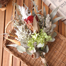 専用＊winter＊D. Nプロテア＆パンパス ドライフラワースワッグ de37fd5b644de785fec223a3af91e4