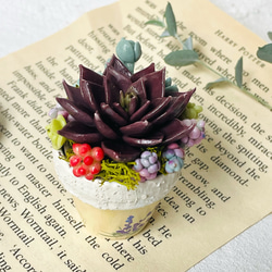 95ad1aeea9d49e1bc345f46085a116