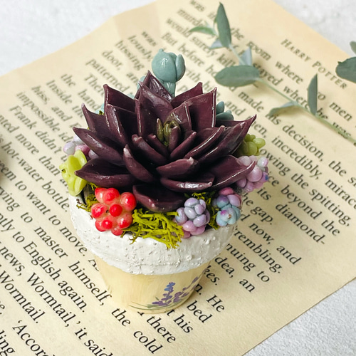 ぷくぷく多肉植物mini mini♡ 古紫♪樹脂粘土 1号寄せ 多肉植物 Tea
