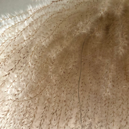 特価】ススキ リース ふわふわ フライングリース 特大 4L 55～60cm