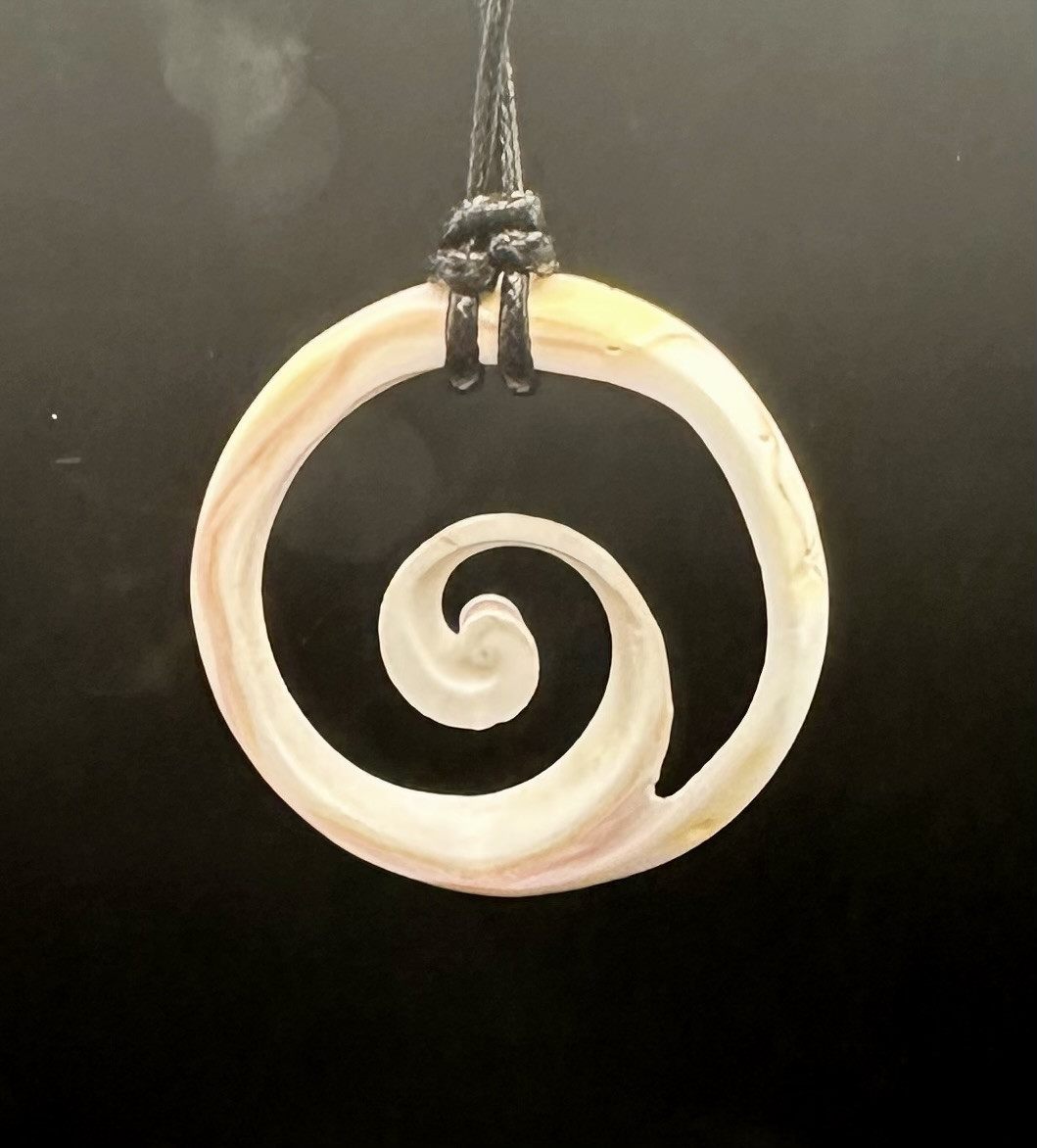 神秘なコンク貝のワームホール