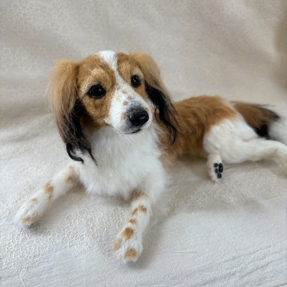 羊毛フェルト【オーダーメイド】うちの子オーダー✴︎犬✴︎愛犬✴︎ペット✴︎ハンドメイド✴︎ペットロスペットロス 25センチ　