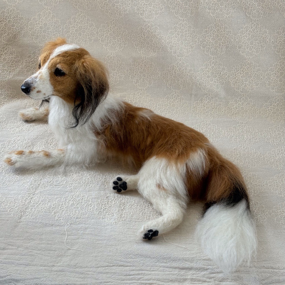 羊毛フェルト【オーダーメイド】うちの子オーダー✴︎犬✴︎愛犬✴︎ペット✴︎ハンドメイド✴︎ペットロスペットロス 25センチ　