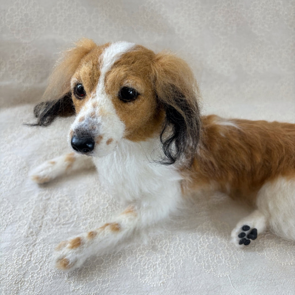 羊毛フェルト【オーダーメイド】うちの子オーダー✴︎犬✴︎愛犬✴︎ペット✴︎ハンドメイド✴︎ペットロスペットロス 25センチ　