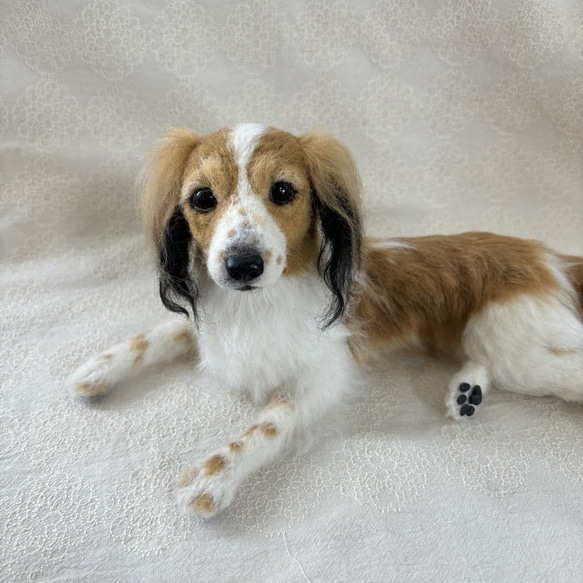 羊毛フェルト【オーダーメイド】うちの子オーダー✴︎犬✴︎愛犬✴︎ペット✴︎ハンドメイド✴︎ペットロスペットロス 25センチ　