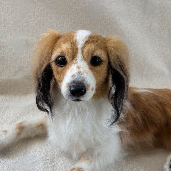 羊毛フェルト【オーダーメイド】うちの子オーダー✴︎犬✴︎愛犬✴︎ペット✴︎ハンドメイド✴︎ペットロスペットロス 25センチ　