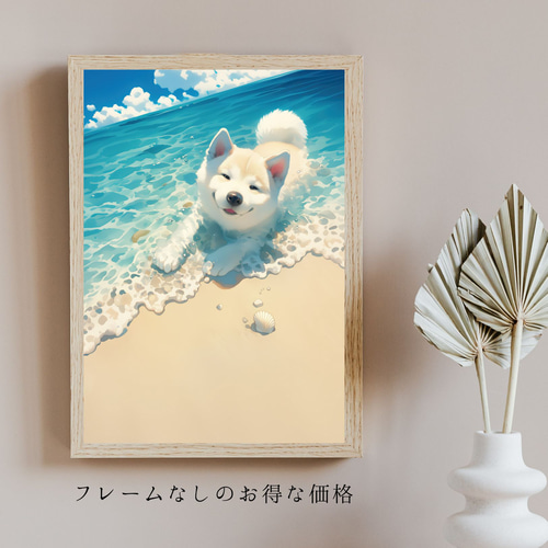 貝犬戯舞 - 柴犬の子犬 No.8】白柴・豆柴・夏・海・うちの子記念日