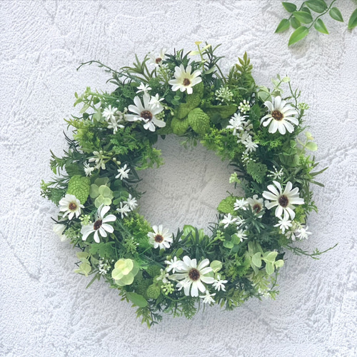 特集掲載】爽やかグリーンリース デージー グリーン 癒やし お部屋を  