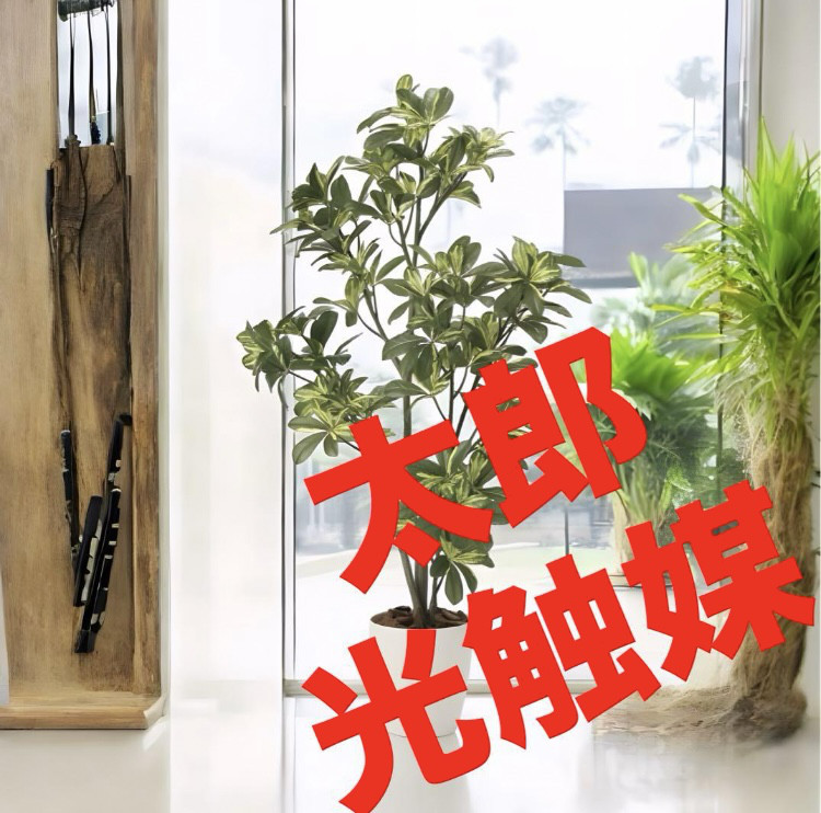 光触媒　人工観葉植物　フェイクグリーン　　シェフレラ 高さ 1.15m