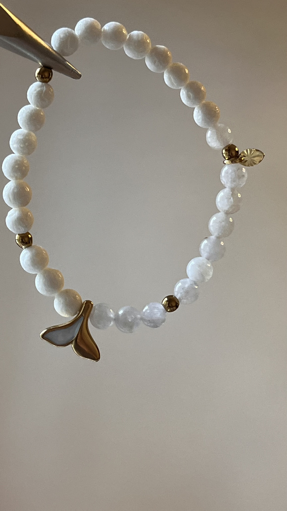 素敵☆珊瑚礁 珊瑚 貝殻 アロマストーン アロマオイル 置物 白珊瑚