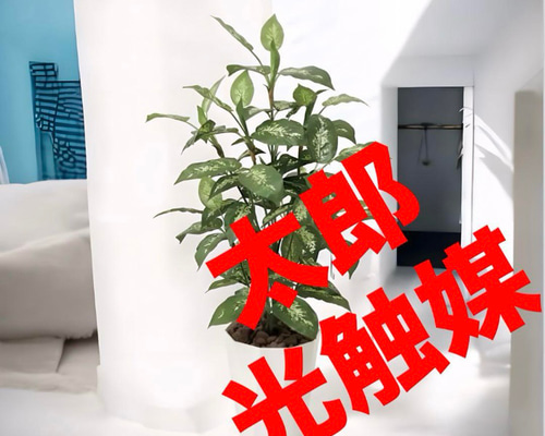 光触媒 人工観葉植物 フェイクグリーン ディフェンバキア1.1m その他 