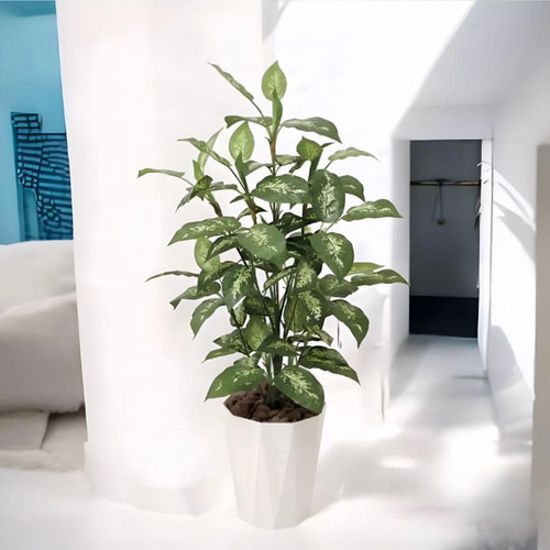 光触媒 人工観葉植物 フェイクグリーン ディフェンバキア1.1m その他 