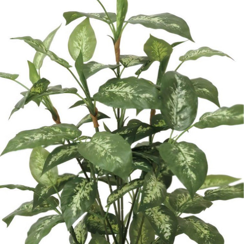光触媒 人工観葉植物 フェイクグリーン ディフェンバキア1.1m その他 