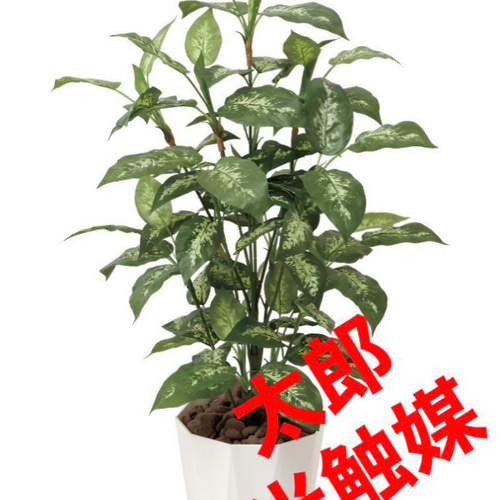 光触媒 人工観葉植物 フェイクグリーン ディフェンバキア1.1m その他 