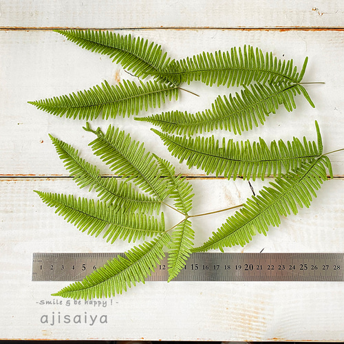 2024新商品 】 ヤマシダ グリーン 【 プリザーブドフラワー 】 山シダ