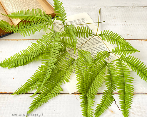 abe1e4c981b9b2d407991236fcb78a