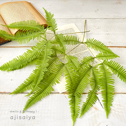 2024新商品 】 ヤマシダ グリーン 【 プリザーブドフラワー 】 山シダ