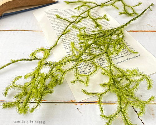 8af4f33063fbaa4f47e59eb08e53f9