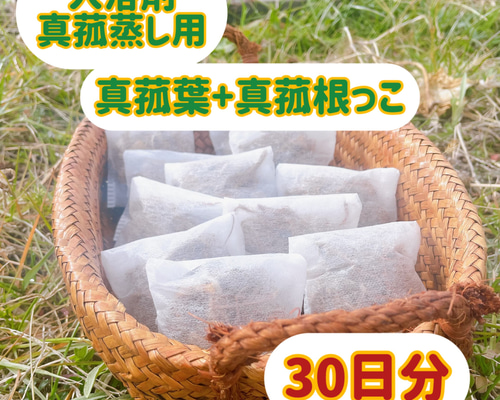 真菰葉1.6kg 【公式通販】