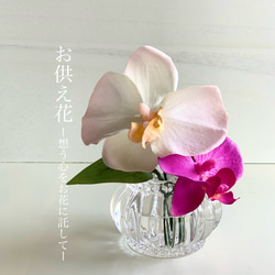 胡蝶蘭♪クレイフラワー アートフラワー Clay Art Kanon 通販 15229957