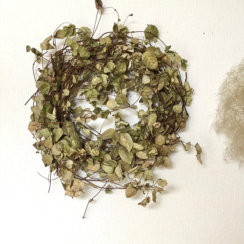 特価】ツルのリース 23cm スモークツリー フライングスワッグ 26cm 2点