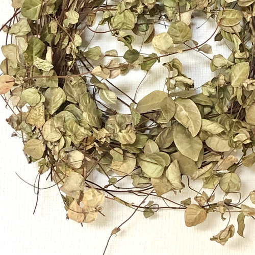 特価】ツルのリース 23cm スモークツリー フライングスワッグ 26cm 2点