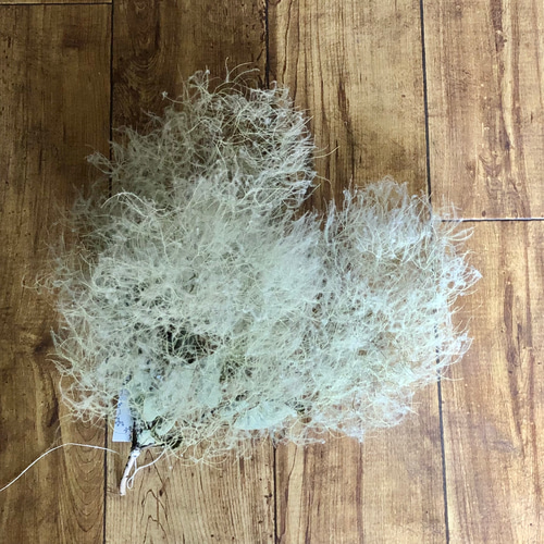 2.スモークツリー丸リース pink ♡スモークツリーリース No.63 | green88