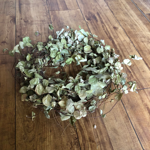 特価】ツルのリース 23cm スモークツリー フライングスワッグ 26cm 2点