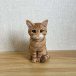 ✿羊毛フェルト✿mahi様✿茶トラ猫ちゃん✿秋ver✿どんぐり隊✿みのむしくん✿ 羊毛フェルトキット 『ハマナカ フェルト羊毛キット 白ねこと