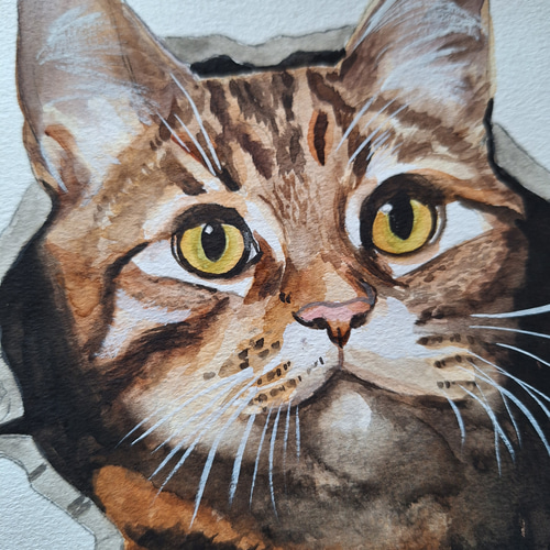 原画#3571　黒猫　花　窓　カンヌ　水彩画　ドローイング　インテリア　アート 猫の絵の動物アート水彩画のアートワーク貓克 - ショップ