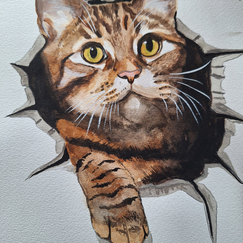 絵画】猫の水彩画 面倒くさく 2024年作