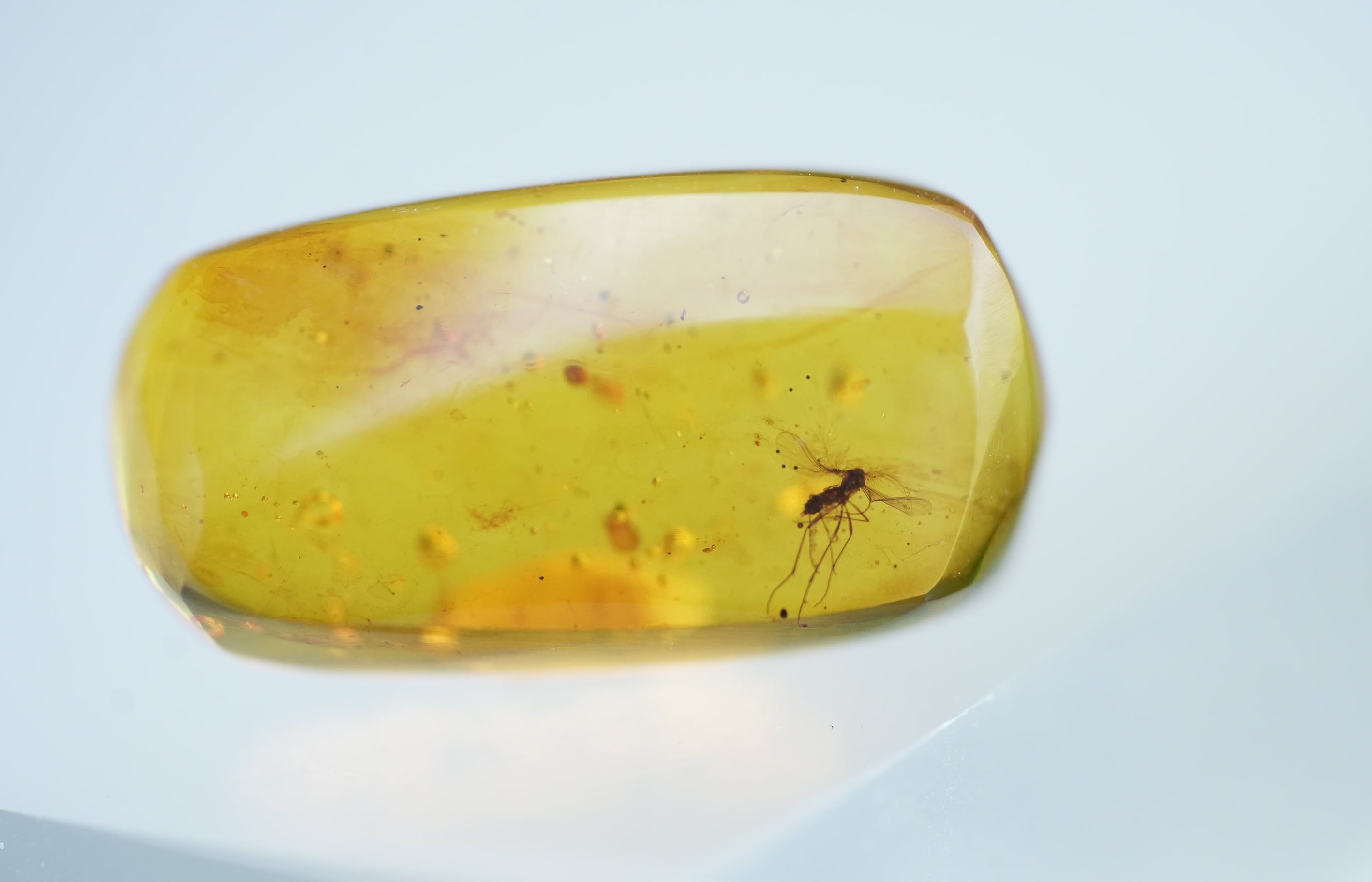 パーマイト★天然琥珀アンバー s1306