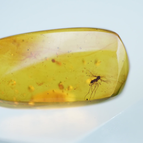 【琥珀ページ】 パーマイト☆天然琥珀アンバー s1306 天然石 Funky garuda stone