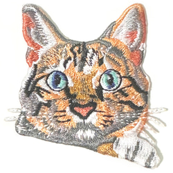 銀貨】庭猫 フィジー 2022年 1オンス シルバーコイン カラー版【純銀