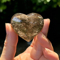 6957f126e1557afa9f1e4bb07b2d6b