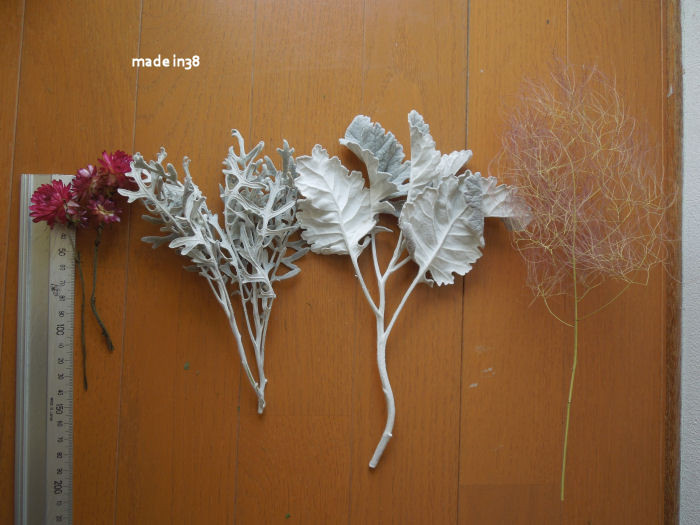 プロテア スモークツリー スワッグ No.152 赤系 スモークツリー 紫陽花