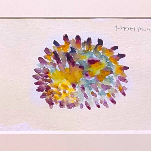 ウミウシの水彩イラスト　原画イラスト サーシャコヤナギウミウシ 水彩画原画 (SM) 絵画 yko 通販 18051299