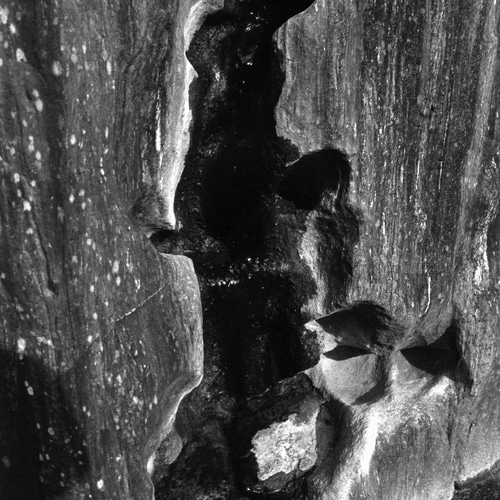 モノクロ写真集『60Hz』 ZINE・小冊子 オッキー 通販 18051768｜Creema