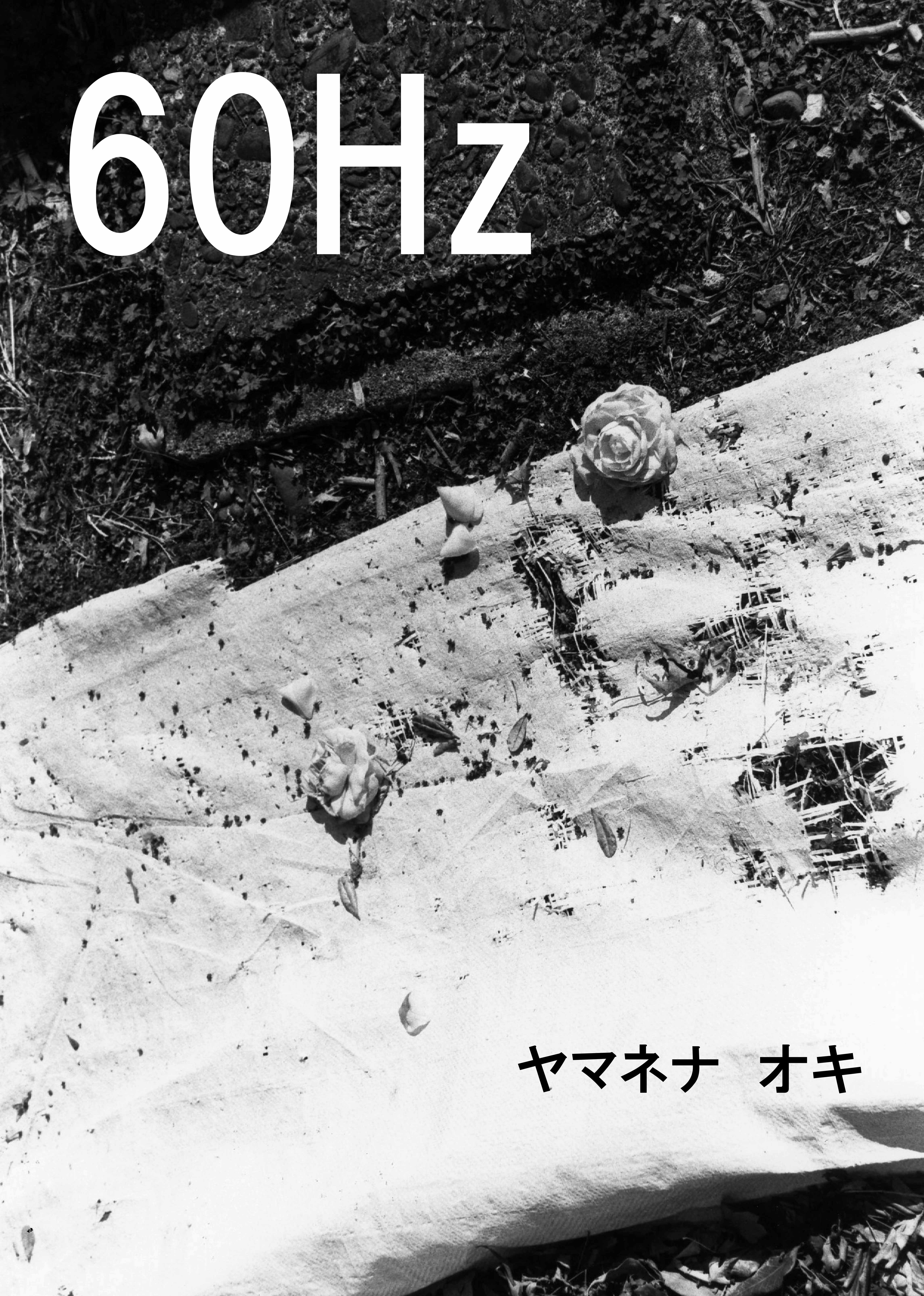 白黒写真集】（ドイツの西アルプス） 白黒写真集】（ドイツの西