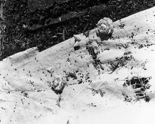 928e28455e5d3c3ddb45e281aeaf4d