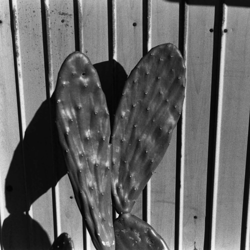 モノクロ写真集『60Hz』 ZINE・小冊子 オッキー 通販 18051768｜Creema