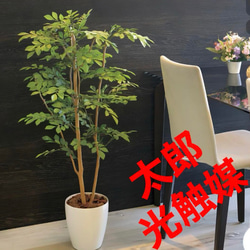 光触媒 人工観葉植物 ウォールグリーン フェイクグリーン モンステラ75