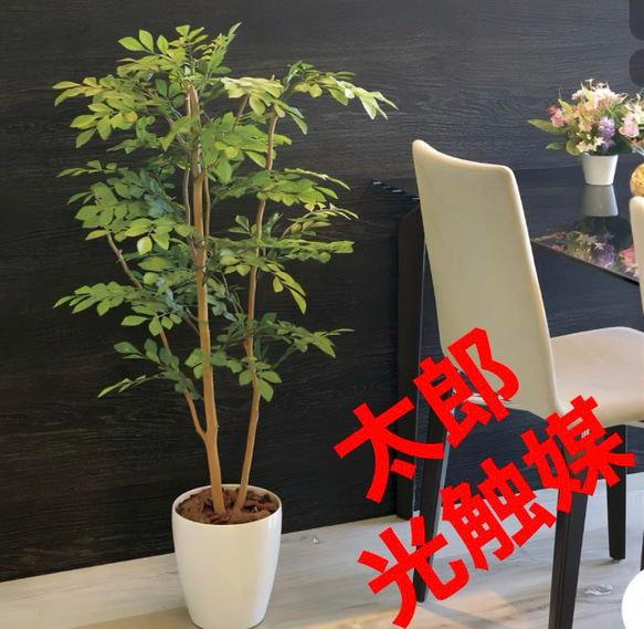 光触媒 人工観葉植物 ウォールグリーン フェイクグリーン ライト