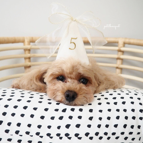 数字*ペットパーティーハット》誕生日 バースデーハット ペット  