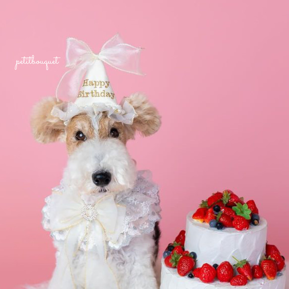 ペット*バースデーパーティーハット》犬 誕生日 1歳 バースデーハット  