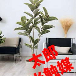 光触媒 人工観葉植物 ウォールグリーン フェイクグリーン アルテシマ